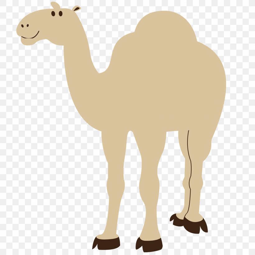 Dromedary Clip Art, PNG, 2555x2555px, Dromedary, Arabian Camel, Camel, Camel Like Mammal, Camel Train Download Free