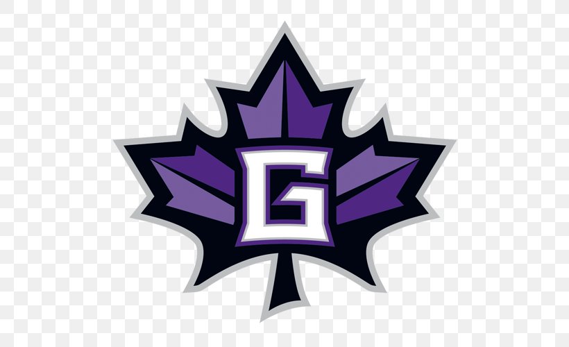 Goshen College Maple Leafs Men's Basketball Grace College And Theological Seminary Viterbo University Bethel College, PNG, 500x500px, Goshen College, Bethel College, College, Crossroads League, Goshen Download Free