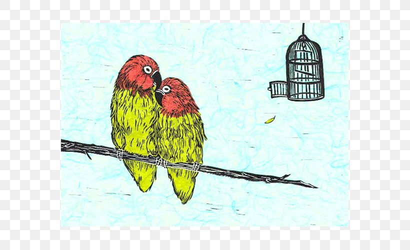 Lovebird Loriini Macaw Parakeet Feather, PNG, 575x500px, Lovebird, Art, Beak, Bird, Common Pet Parakeet Download Free