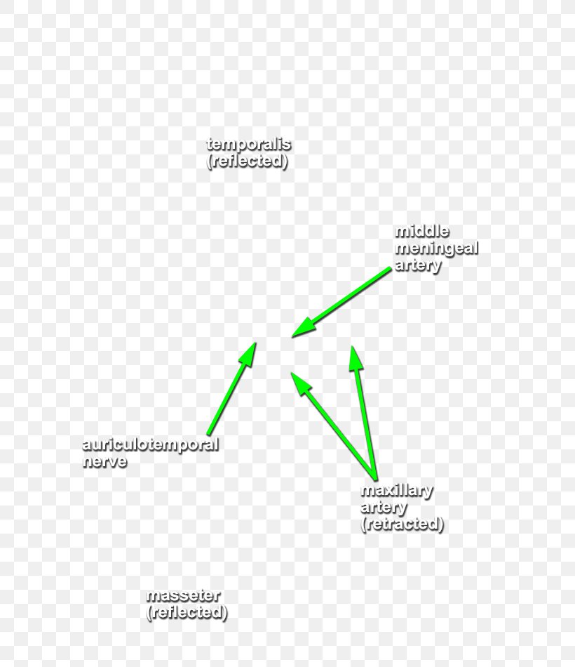 Brand Line Angle, PNG, 631x950px, Brand, Area, Diagram, Text Download Free