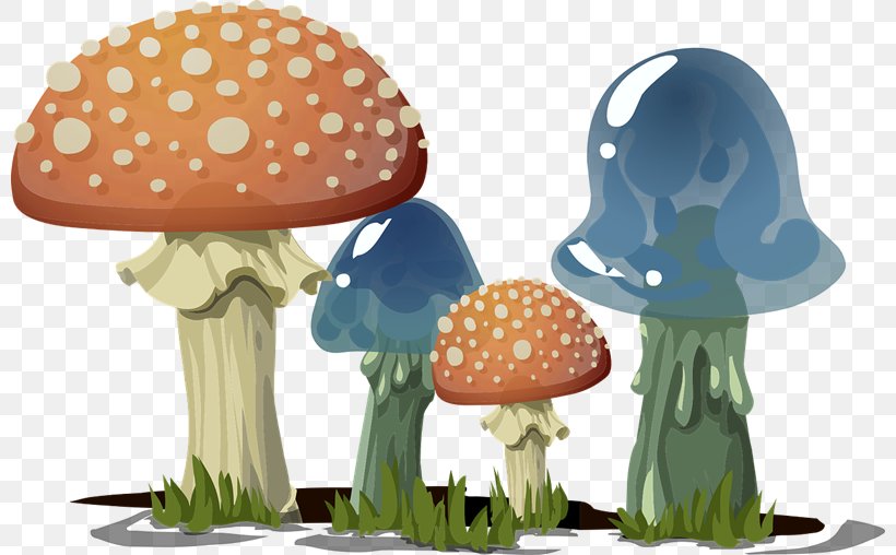 Lingzhi Mushroom Amanita Muscaria Fungus Clip Art, PNG, 800x508px, Mushroom, Agaric, Agaricus Campestris, Amanita Muscaria, Birthday Download Free