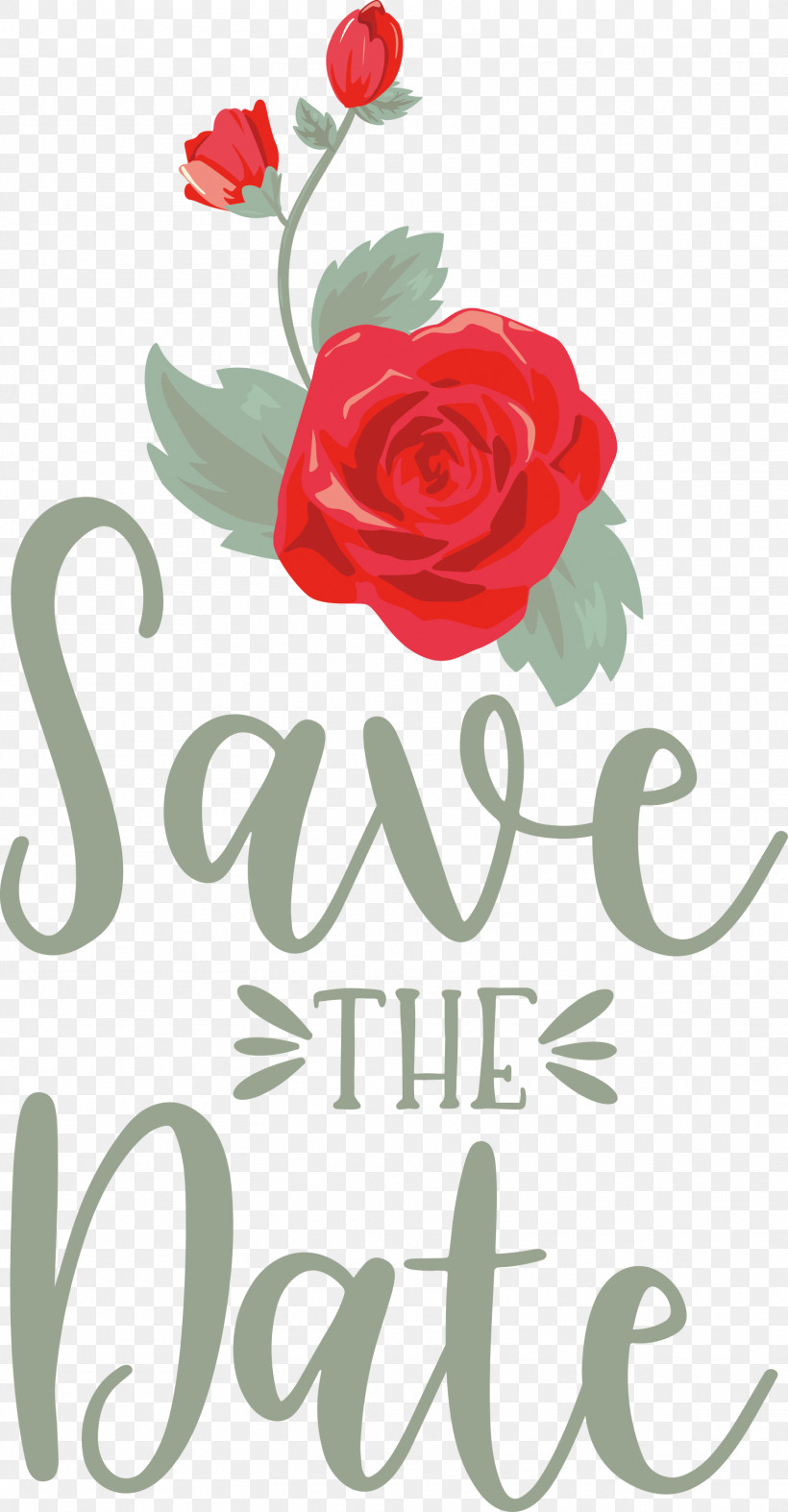 Save The Date Wedding, PNG, 1562x3000px, Save The Date, Cut Flowers, Floral Design, Flower, Garden Download Free