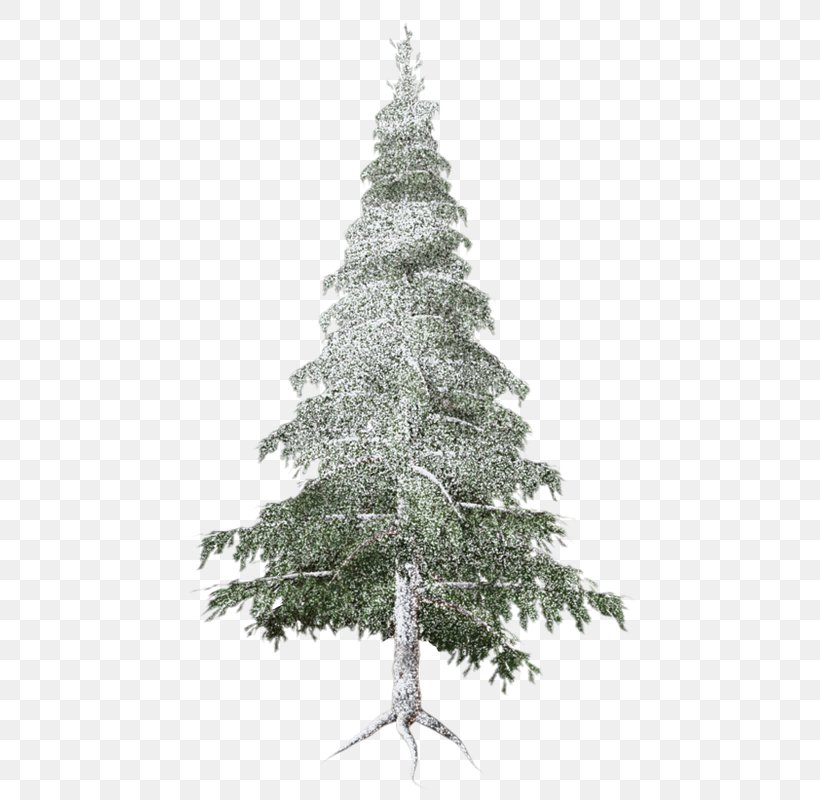Spruce Christmas Ornament Christmas Tree Fir Pine, PNG, 487x800px, Spruce, Branch, Christmas, Christmas Decoration, Christmas Ornament Download Free