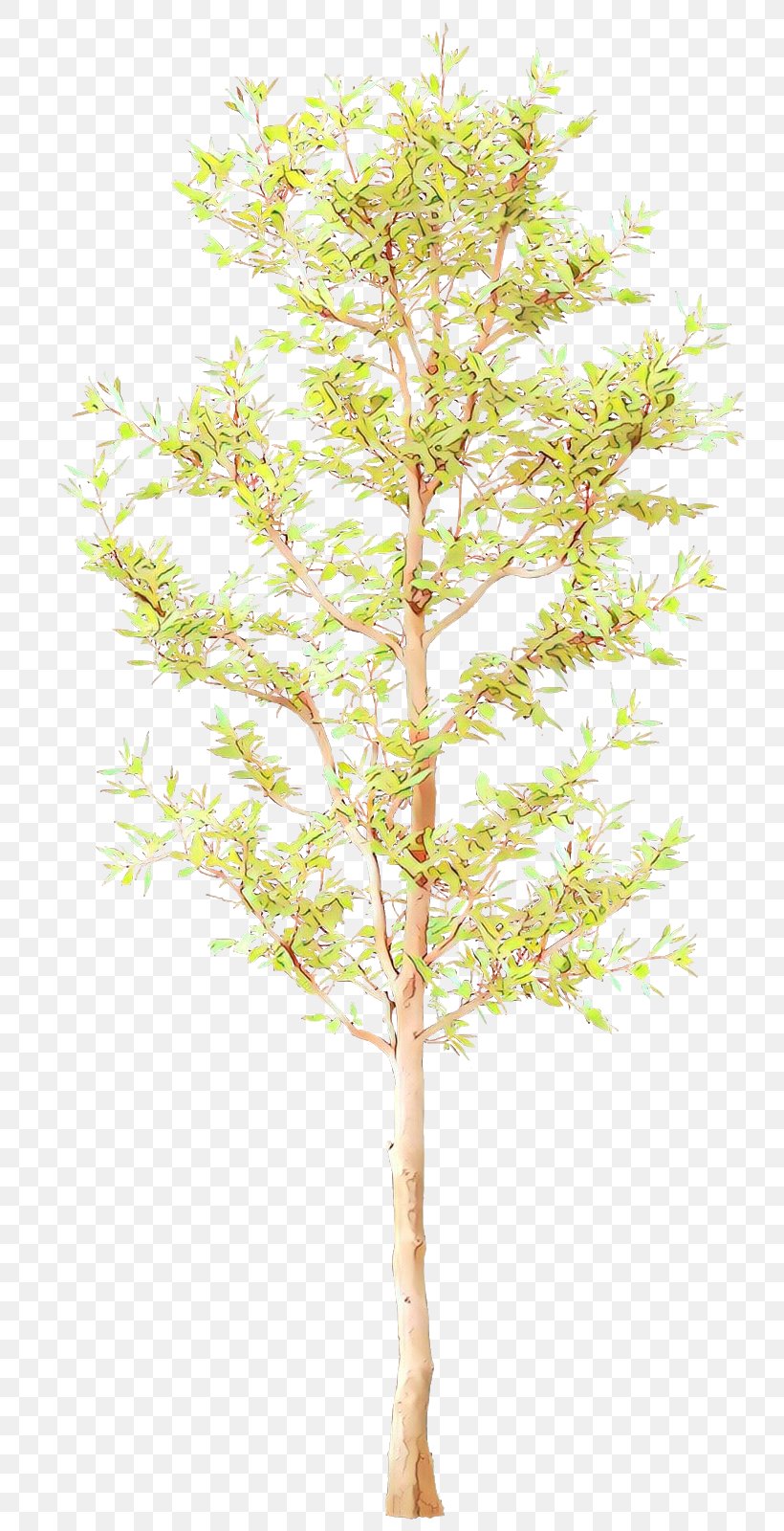 Tree Plant Branch Leaf Twig, PNG, 767x1600px, Cartoon, Branch, Flower, Flowering Plant, Leaf Download Free