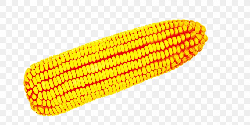 Corn On The Cob Maize Download Icon, PNG, 1000x500px, Corn On The Cob, Autumn, Commodity, Corn Kernels, Google Images Download Free
