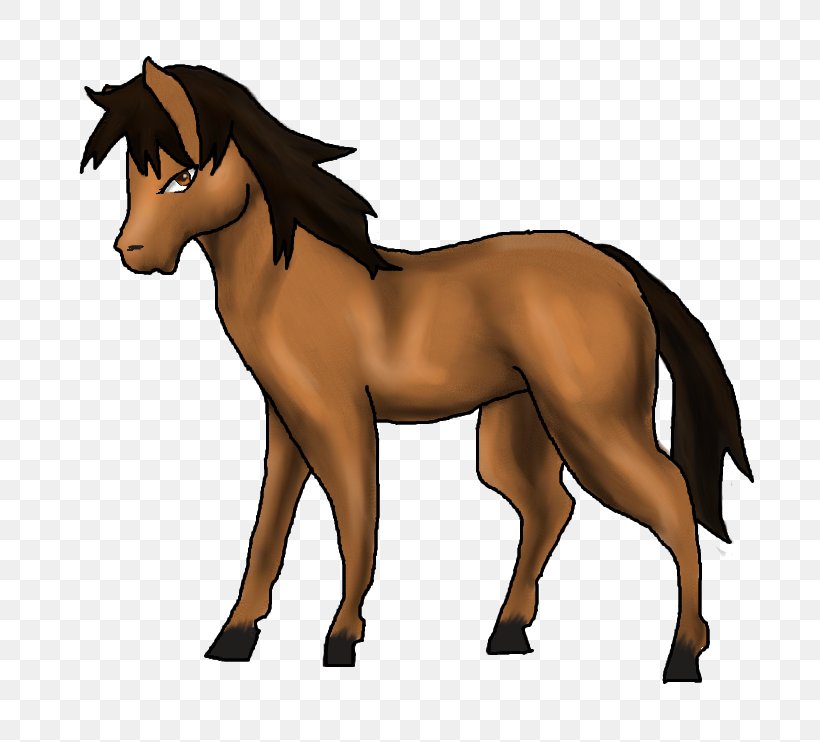 Foal Mane Stallion Mare Pony, PNG, 773x742px, Foal, Animal Figure, Belgian Horse, Bridle, Colt Download Free