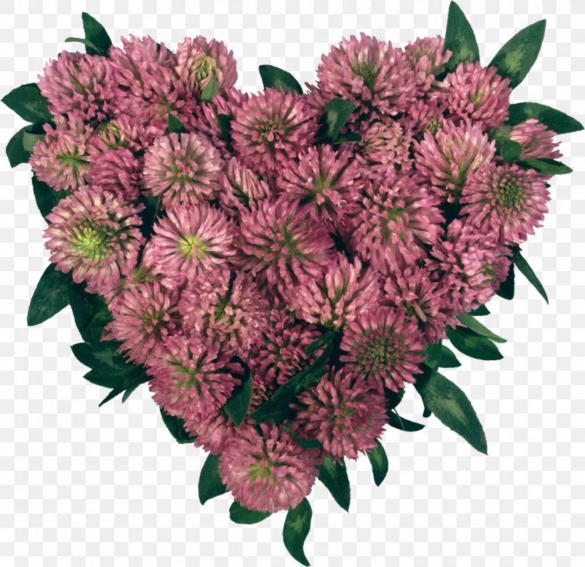 Heart Desktop Wallpaper Clip Art, PNG, 1113x1080px, Heart, Annual Plant, Aster, Bryan Adams, Chrysanths Download Free