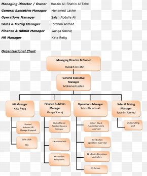Organization Structure Chart Of Bpo Industry