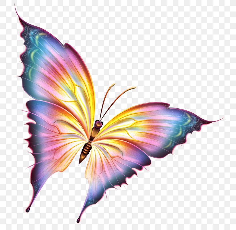 Butterfly Clip Art, PNG, 766x800px, 3d Computer Graphics, Butterfly, Autocad Dxf, Butterflies And Moths, Insect Download Free
