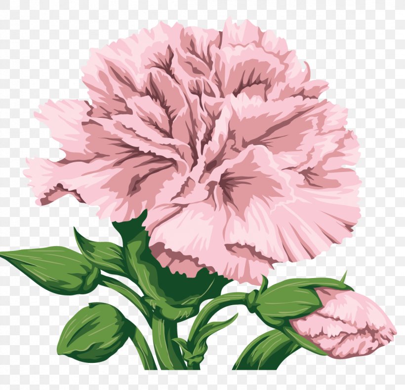 Carnation Cut Flowers Clip Art, PNG, 1162x1122px, Carnation, Annual Plant, Cut Flowers, Dianthus Chinensis, Floral Design Download Free