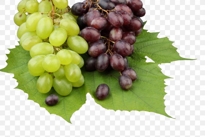 Common Grape Vine High-definition Television 1080p Wallpaper, PNG, 1024x683px, 4k Resolution, Common Grape Vine, Display Resolution, Food, Fruit Download Free