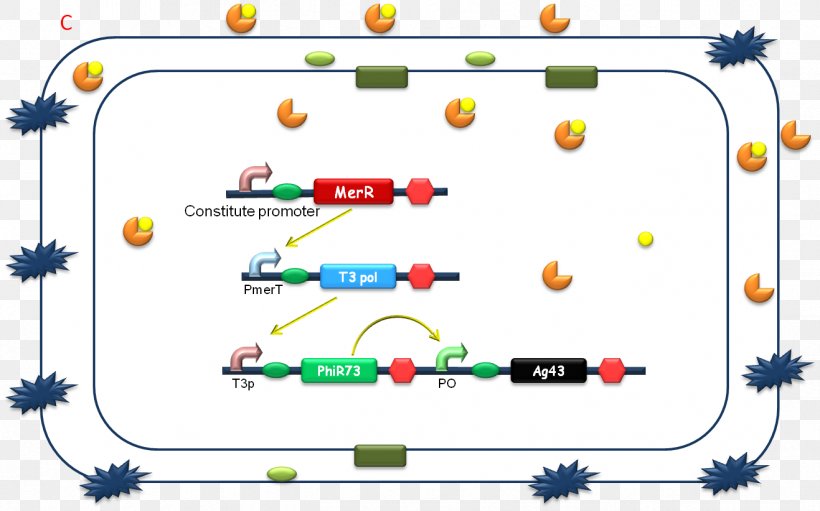 International Genetically Engineered Machine Synthetic Biology Biotechnology, PNG, 1317x822px, Synthetic Biology, Area, Biology, Biotechnology, Cartoon Download Free