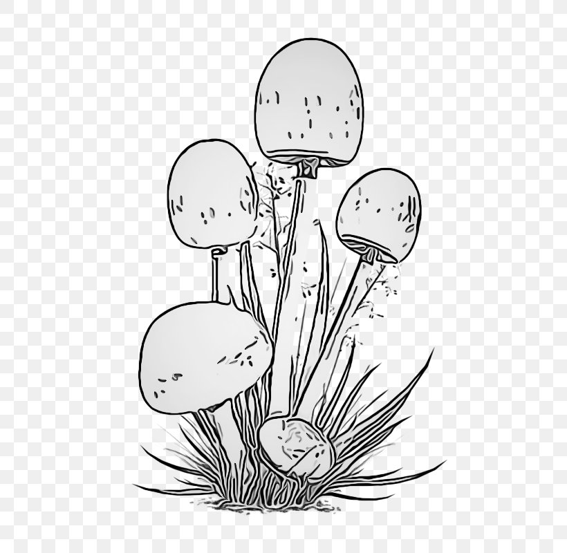 Line Art Mushroom Plant Grass Black-and-white, PNG, 598x800px, Line Art, Blackandwhite, Coloring Book, Flower, Grass Download Free