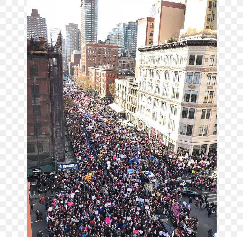 2017 Women's March Donald Trump 2017 Presidential Inauguration Protest Blind Pig President Of The United States, PNG, 800x800px, Protest, Blind Pig, City, Crowd, Demonstration Download Free