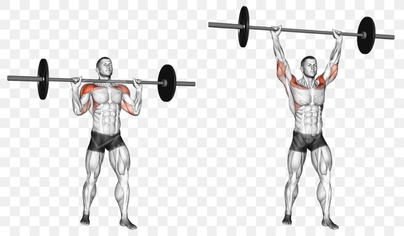 Barbell Shoulder Physical Fitness Overhead Press Gwasg Milwrol Png 1024x600px Barbell Abdomen Arm Balance Biceps Download