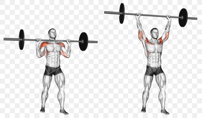 Barbell Shoulder Physical Fitness Overhead Press Gwasg Milwrol Png X Px Barbell