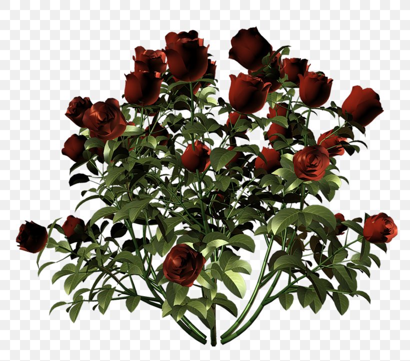 Garden Roses Flower Floral Design, PNG, 800x722px, Garden Roses, Artificial Flower, Cut Flowers, Depositfiles, Floral Design Download Free