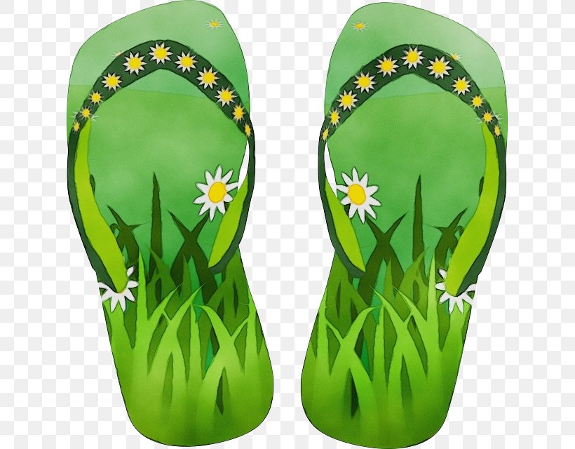 Green Grass Background, PNG, 629x640px, Watercolor, Drawing, Flipflops, Footwear, Grass Download Free