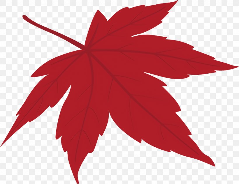 Maple Leaf Fallen Leaf Dead Leaf, PNG, 1026x792px, Maple Leaf, Autumn Leaf, Black Maple, Dead Leaf, Fallen Leaf Download Free
