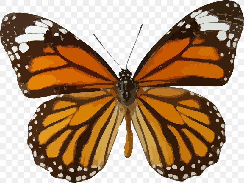 Monarch Butterfly Insect Danaus Genutia Clip Art, PNG, 1578x1187px, Butterfly, Animal, Arthropod, Brush Footed Butterfly, Butterflies And Moths Download Free