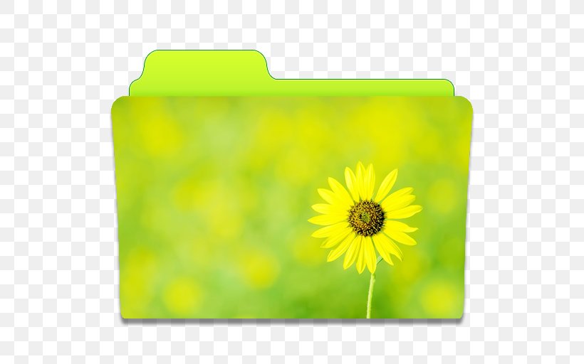 Sunflower Meadow Petal Yellow, PNG, 512x512px, Laptop, Daisy Family, Desktop Computers, Display Resolution, Field Download Free