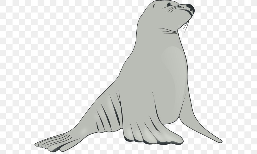 Elephant Cartoon, PNG, 600x492px, Sea Lion, Animal Figure, California Sea Lion, Cartoon, Drawing Download Free