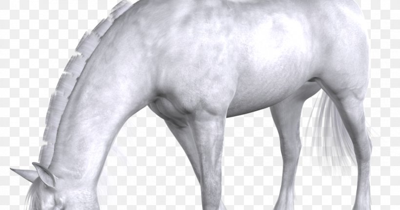Mane Mustang Stallion Pony Halter, PNG, 1200x630px, Mane, Grass, Halter, Head, Horse Download Free