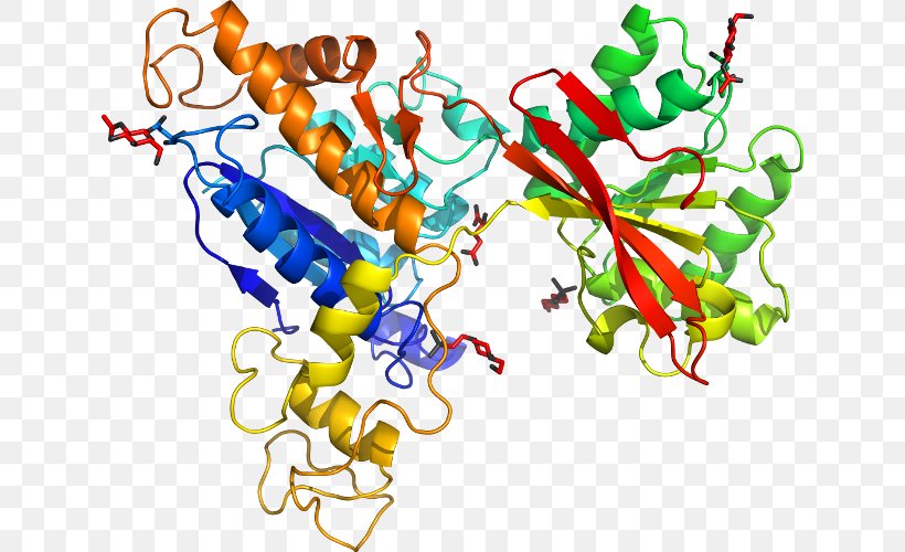 Metabotropic Glutamate Receptor 7 Metabotropic Receptor, PNG, 636x500px, Glutamate Receptor, G Proteincoupled Receptor, Gene, Glutamate, Ligand Download Free