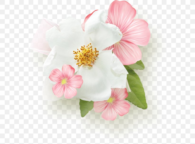 Pink Flower Day White, PNG, 600x604px, Pink, Blossom, Cherry Blossom, Day, Flower Download Free