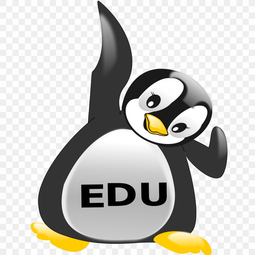 Edulogo King Penguin Desktop Wallpaper, PNG, 2399x2400px, King Penguin, Beak, Bird, Cape Town, Desktop Environment Download Free