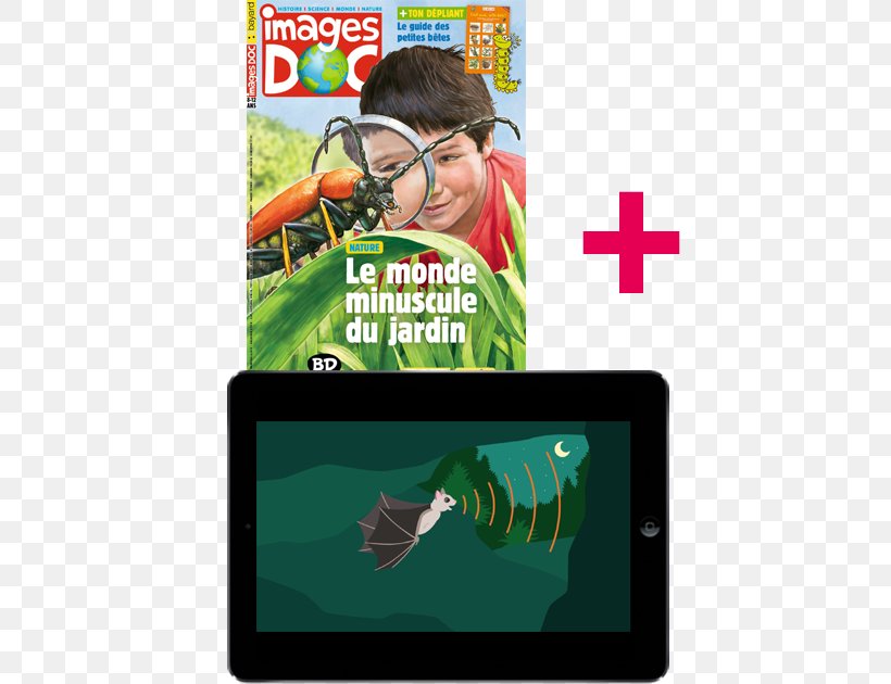 Magazine Images Doc Subscription Prensa Escrita Child, PNG, 624x630px, Magazine, Advertising, Belgium, Brand, Child Download Free