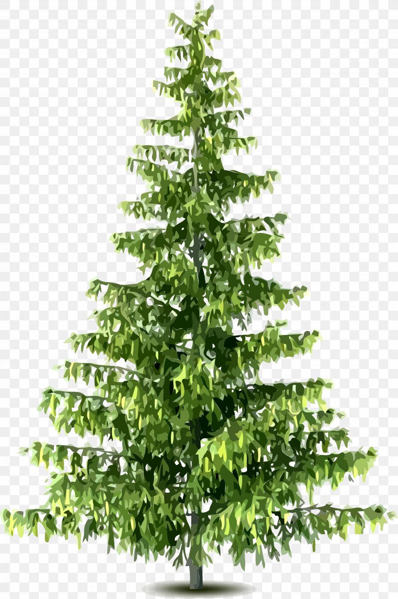 Tree Pine Clip Art, PNG, 2540x3824px, Tree, Branch, Christmas Decoration, Christmas Ornament, Christmas Tree Download Free