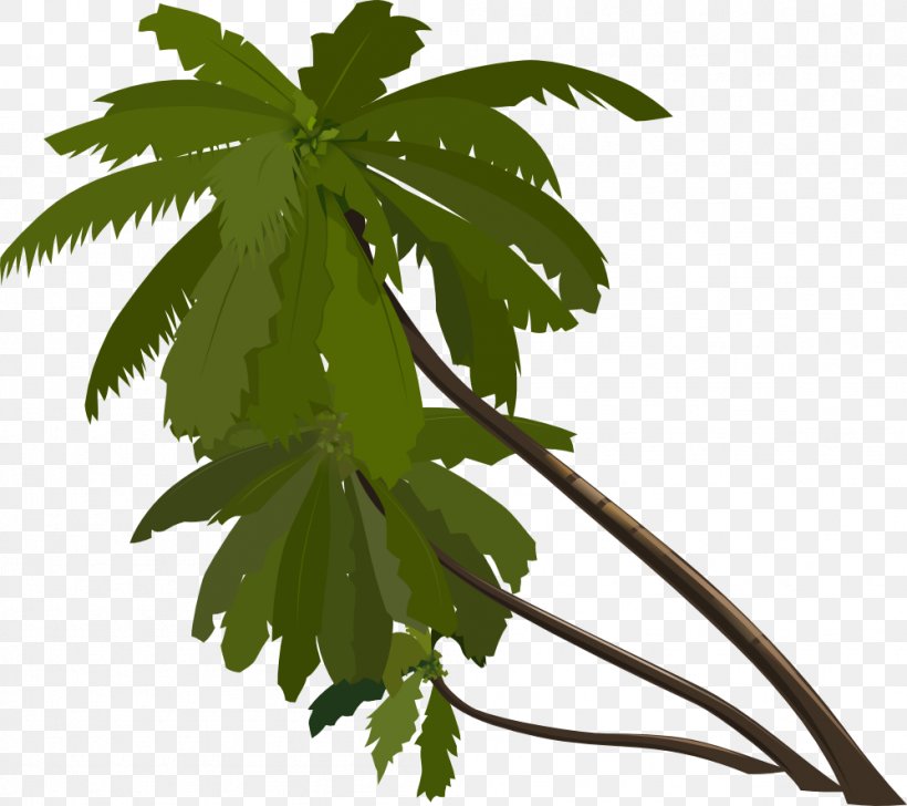 Animation Tree Arecaceae Clip Art, PNG, 999x888px, Arecaceae, Branch, Flowering Plant, Hemp, Leaf Download Free