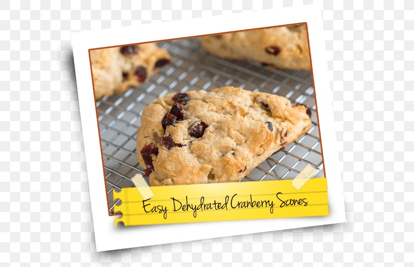 Chocolate Chip Cookie Scone Recipe Cookie Dough, PNG, 600x529px, Chocolate Chip Cookie, Amazon Kindle, Baked Goods, Baking, Chocolate Chip Download Free