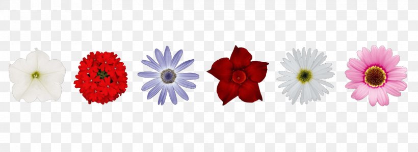 Floral Design Cut Flowers Transvaal Daisy Floristry, PNG, 1216x442px, Floral Design, Banner, Chrysanthemum, Chrysanths, Cut Flowers Download Free