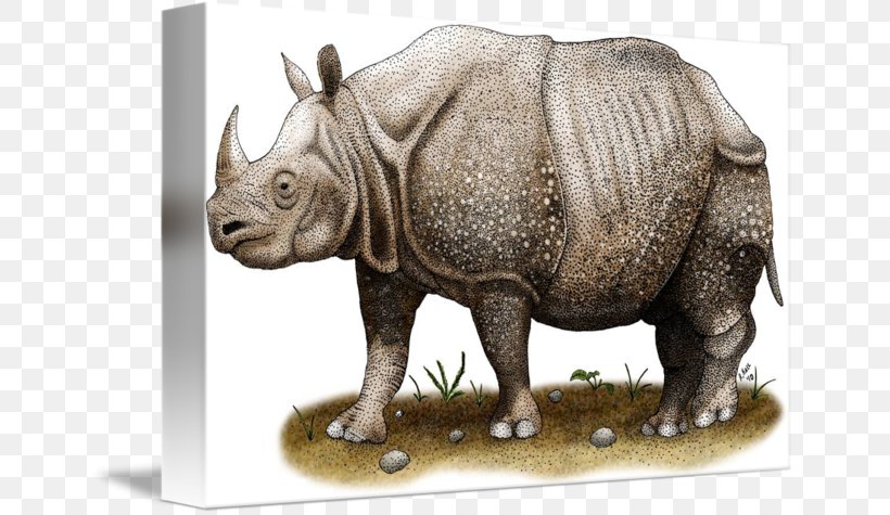 Javan Rhinoceros Horn Indian Rhinoceros White Rhinoceros Antelope, PNG, 650x475px, Javan Rhinoceros, Animal, Antelope, Black Rhinoceros, Blackbuck Download Free