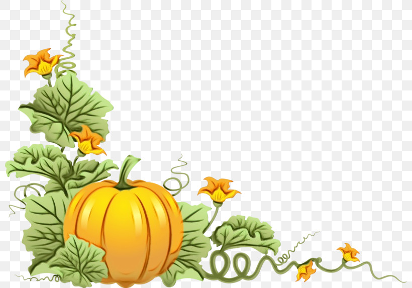 Thanksgiving Dinner, PNG, 800x573px, Watercolor, Field Pumpkin, Gourd, Paint, Pumpkin Download Free