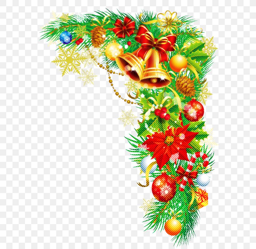 Christmas Decoration, PNG, 599x800px, Holiday Ornament, Christmas Decoration, Christmas Ornament, Colorado Spruce, Conifer Download Free
