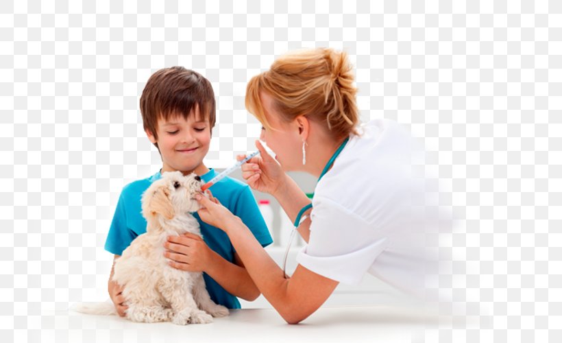 Dog Veterinary Medicine Veterinarian Pet Cat, PNG, 800x500px, Watercolor, Cartoon, Flower, Frame, Heart Download Free
