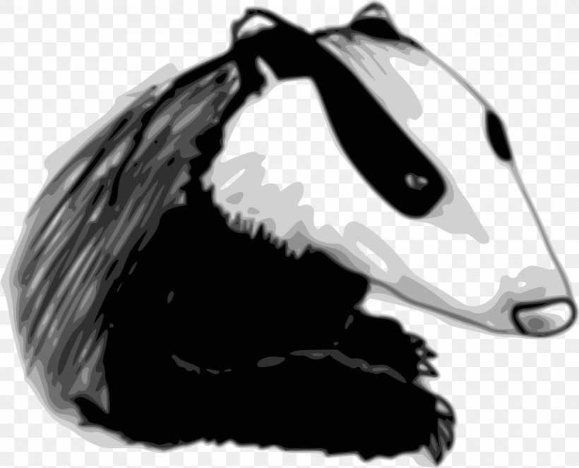 European Badger Drawing Clip Art, PNG, 2206x1784px, Badger, Bicycle Helmet, Black, Black And White, Carnivoran Download Free