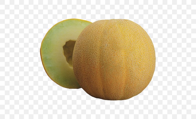 Honeydew Galia Melon Cantaloupe Food, PNG, 500x500px, Honeydew, Cantaloupe, Cucumber, Cucumber Gourd And Melon Family, Cucumis Download Free