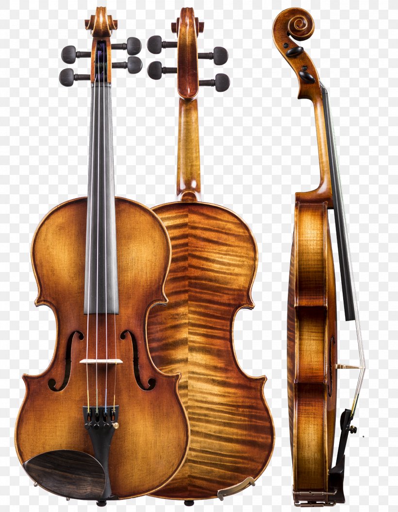 Violin Musical Instruments Double Bass Viola Cello, PNG, 2099x2700px, Violin, Amati, Bass Guitar, Bass Violin, Bowed String Instrument Download Free