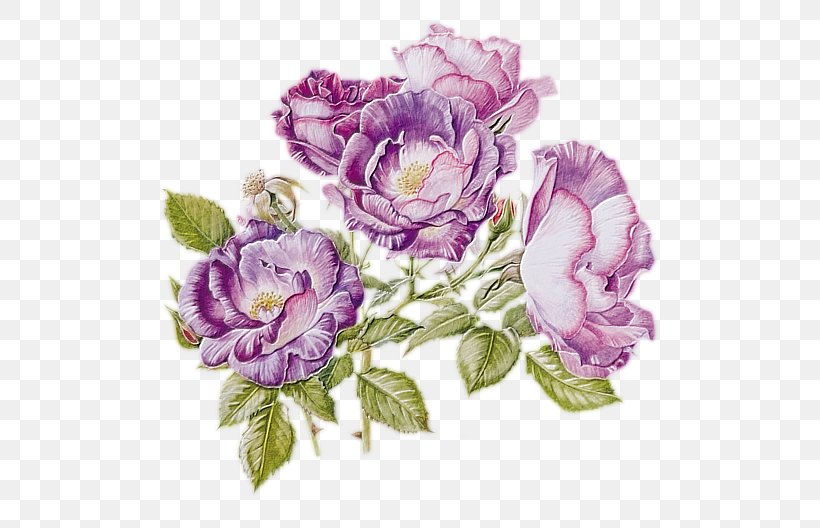 Flower Watercolor Painting Clip Art, PNG, 550x528px, Flower, Anemone, Art, Cut Flowers, Decoupage Download Free