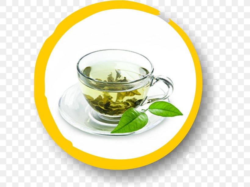 Green Tea Lotion Food Health, PNG, 610x615px, Tea, Assam Tea, Clove, Coffee Cup, Community Center Gmbh Download Free