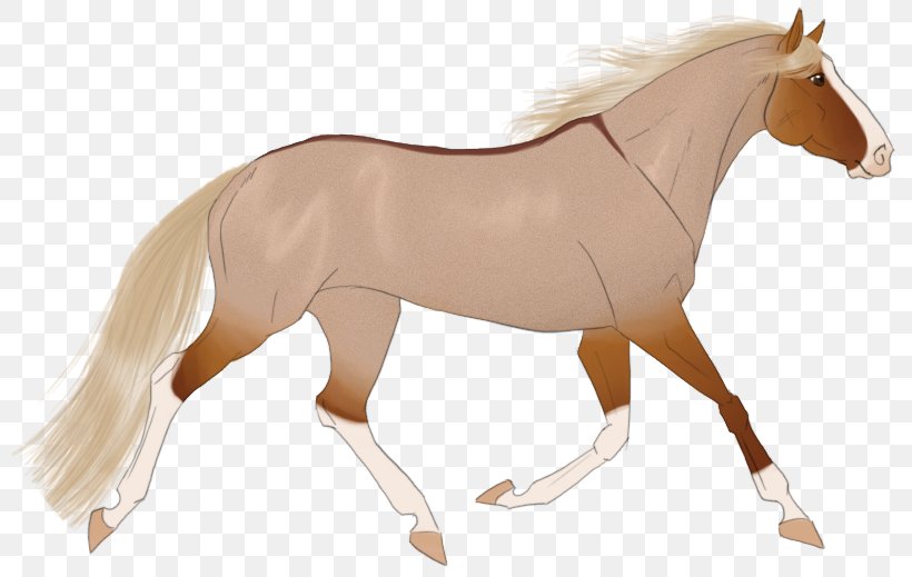 Mane Mustang Stallion Mare Rein, PNG, 814x519px, Mane, Animal Figure, Bridle, Colt, Halter Download Free