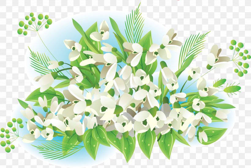 Snowdrop Flower Spring Information, PNG, 3546x2378px, Snowdrop, Aquarium Decor, Bud, Cut Flowers, Floral Design Download Free