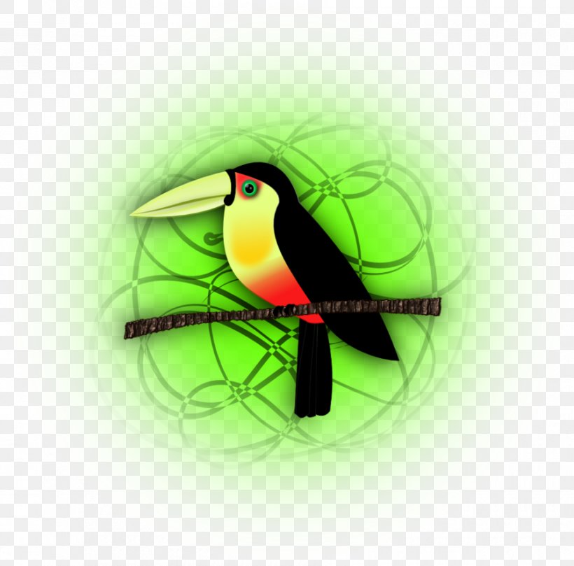 Toucan Hummingbird M Desktop Wallpaper Beak, PNG, 900x888px, Toucan, Beak, Bird, Computer, Hummingbird Download Free