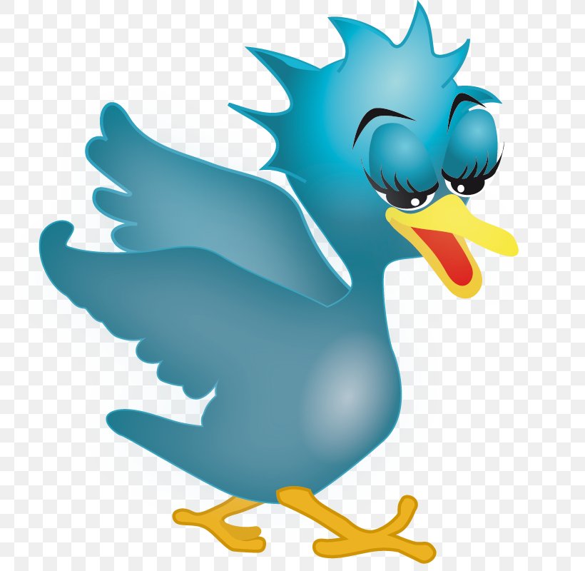 VectorSimple, PNG, 800x800px, Logo, Beak, Bird, Chicken, Duck Download Free