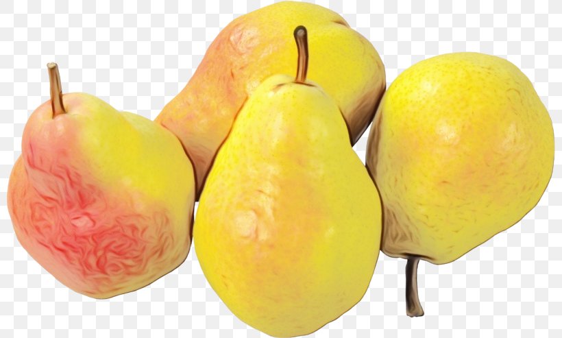 Apple Tree, PNG, 800x493px, Pear, Accessory Fruit, Apple, Ataulfo, Fahrenheit Download Free