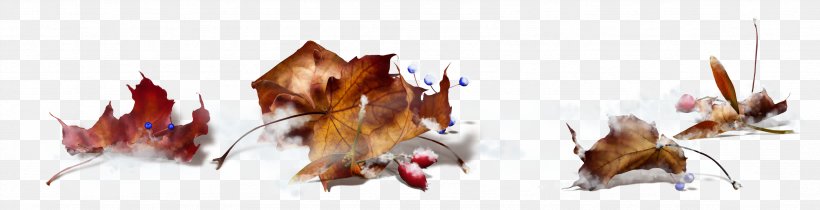 Autumn Maple Leaf Clip Art, PNG, 3378x869px, Watercolor, Cartoon, Flower, Frame, Heart Download Free